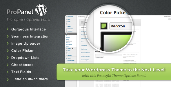 ProPanel – WordPress Theme Options Panel