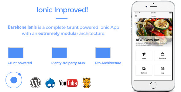 Barebone Ionic – Full Application